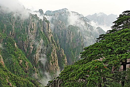 那里可以卖到麦可奈因C1B8D97C5-18975